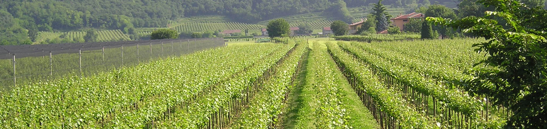 Franciacorta e Lago d'Iseo